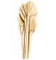 Palm Spear Mini