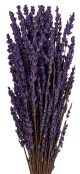 Lavanda Stabilizzata